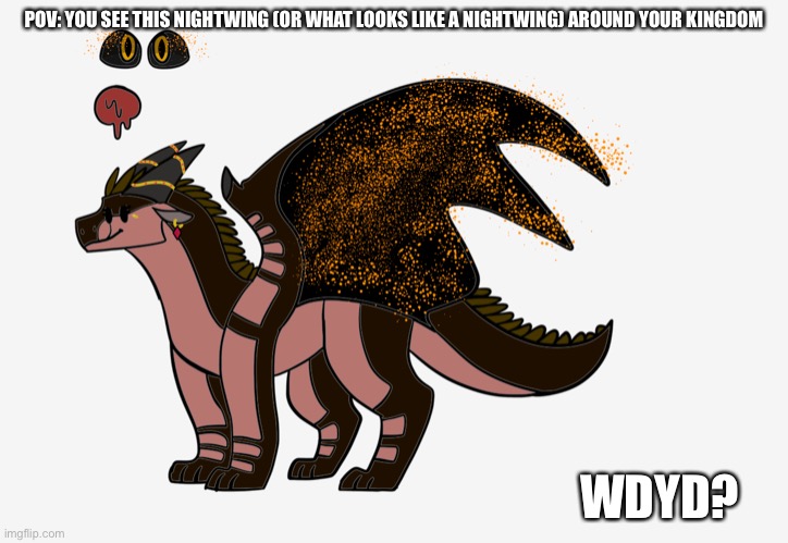 Most recommended if you know WOF and use a dragon OC | POV: YOU SEE THIS NIGHTWING (OR WHAT LOOKS LIKE A NIGHTWING) AROUND YOUR KINGDOM; WDYD? | image tagged in wings of fire | made w/ Imgflip meme maker