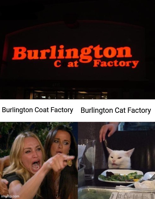 Neon light sign fail: Burlington Cat Factory | Burlington Coat Factory; Burlington Cat Factory | image tagged in memes,woman yelling at cat,funny,you had one job,you had one job just the one,neon lights | made w/ Imgflip meme maker