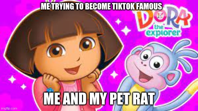 #baddie_dora | ME TRYING TO BECOME TIKTOK FAMOUS; ME AND MY PET RAT | image tagged in first world problems | made w/ Imgflip meme maker