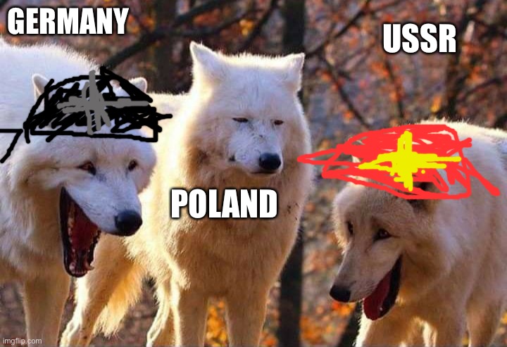 History memes | GERMANY; USSR; POLAND | image tagged in laughing wolf | made w/ Imgflip meme maker