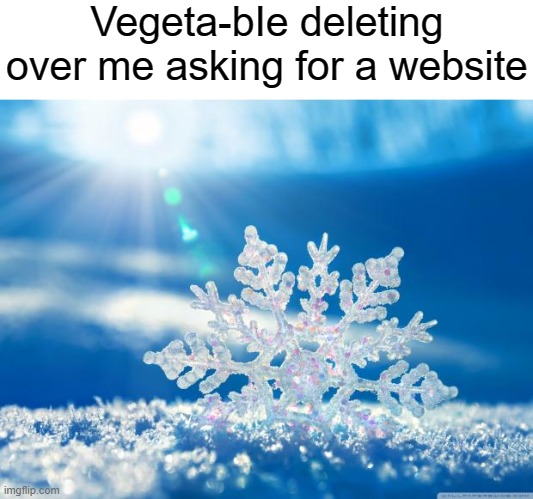 snowflake | Vegeta-bIe deleting over me asking for a website | image tagged in snowflake | made w/ Imgflip meme maker