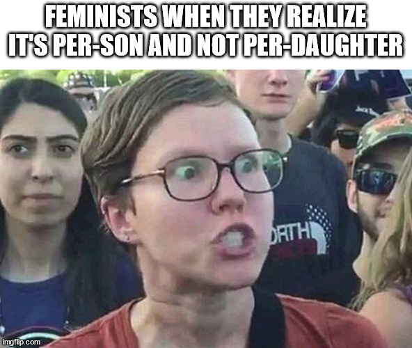 Triggered Liberal | FEMINISTS WHEN THEY REALIZE IT'S PER-SON AND NOT PER-DAUGHTER | image tagged in triggered liberal | made w/ Imgflip meme maker