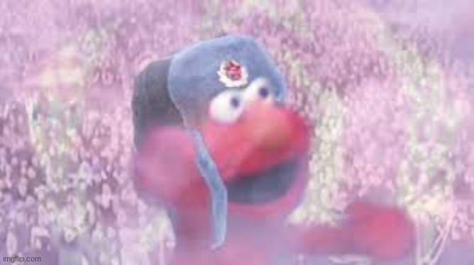 comrade elmo | image tagged in comrade elmo | made w/ Imgflip meme maker