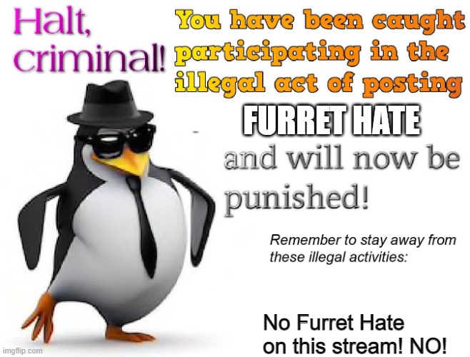 Use this image if A furret hater messes with you! | FURRET HATE; No Furret Hate on this stream! NO! | image tagged in halt criminal,furret | made w/ Imgflip meme maker