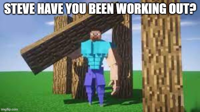 STEVE HAVE YOU BEEN WORKING OUT? | image tagged in minecraft,gaming,cursed image,steve | made w/ Imgflip meme maker