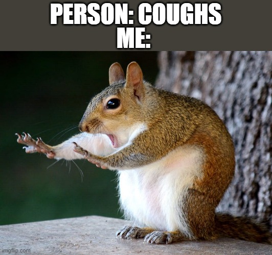 stop right there | ME:; PERSON: COUGHS | image tagged in stop squirrel | made w/ Imgflip meme maker