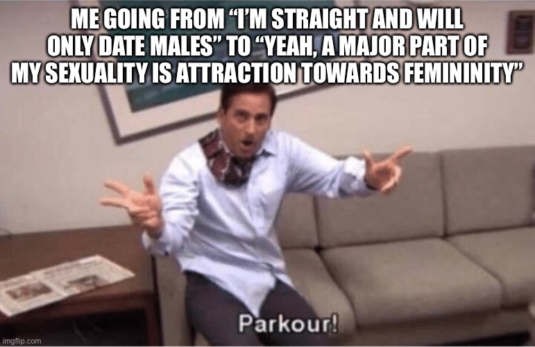 parkour! | ME GOING FROM “I’M STRAIGHT AND WILL ONLY DATE MALES” TO “YEAH, A MAJOR PART OF MY SEXUALITY IS ATTRACTION TOWARDS FEMININITY” | image tagged in parkour | made w/ Imgflip meme maker