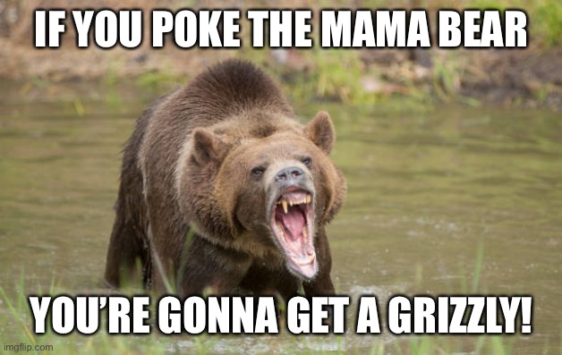 Mama bear | IF YOU POKE THE MAMA BEAR; YOU’RE GONNA GET A GRIZZLY! | image tagged in parenting | made w/ Imgflip meme maker