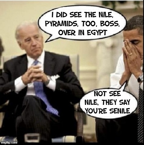 Joe Biden Put the "Vice" in Vice-President | I DID SEE THE NILE,
PYRAMIDS, TOO, BOSS,
OVER IN EGYPT; NOT SEE
NILE, THEY SAY
YOU'RE SENILE | image tagged in vince vance,president obama,joe biden,memes,senile,vice president | made w/ Imgflip meme maker
