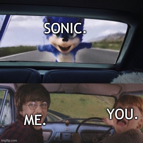 Sonic catching the car | SONIC. ME. YOU. | image tagged in sonic catching the car | made w/ Imgflip meme maker