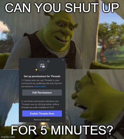 Discord for server owners be like | CAN YOU SHUT UP; FOR 5 MINUTES? | image tagged in could you not ___ for 5 minutes | made w/ Imgflip meme maker