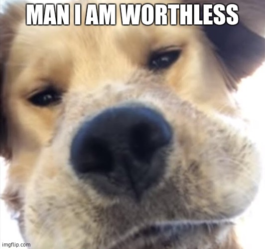 Mod note: no you aren't | MAN I AM WORTHLESS | image tagged in doggo bruh | made w/ Imgflip meme maker