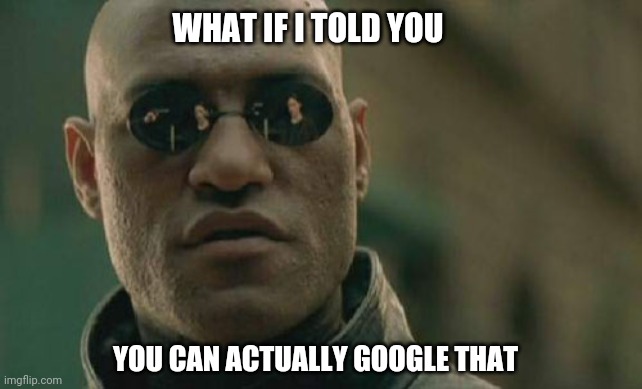 Google it | WHAT IF I TOLD YOU; YOU CAN ACTUALLY GOOGLE THAT | image tagged in memes,matrix morpheus,google | made w/ Imgflip meme maker