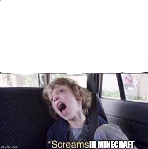 Why Can't You Just Be Normal | IN MINECRAFT | image tagged in why can't you just be normal | made w/ Imgflip meme maker