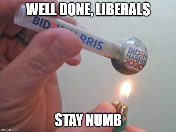 What are the Left smoking? | WELL DONE, LIBERALS; STAY NUMB | image tagged in biden harris pipe,democrats,liberals,joe biden,2020 election,dimwits | made w/ Imgflip meme maker