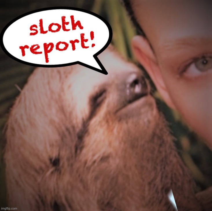 Sloth report | image tagged in sloth report | made w/ Imgflip meme maker