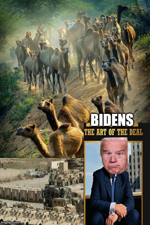 White house lawn mowers | BIDENS | image tagged in funny memes | made w/ Imgflip meme maker