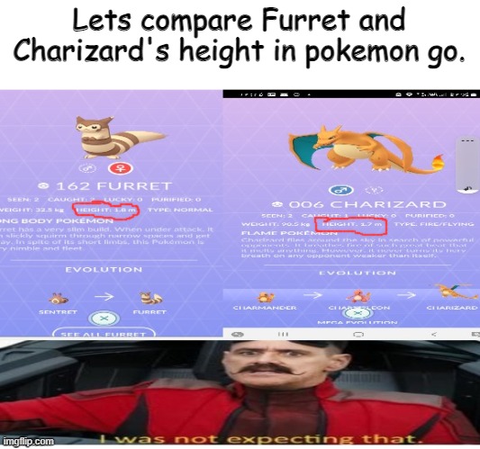 EVEN POKEMON GO SAYS IT! | Lets compare Furret and Charizard's height in pokemon go. | image tagged in furret,charizard,pokemon go,pokemon logic | made w/ Imgflip meme maker