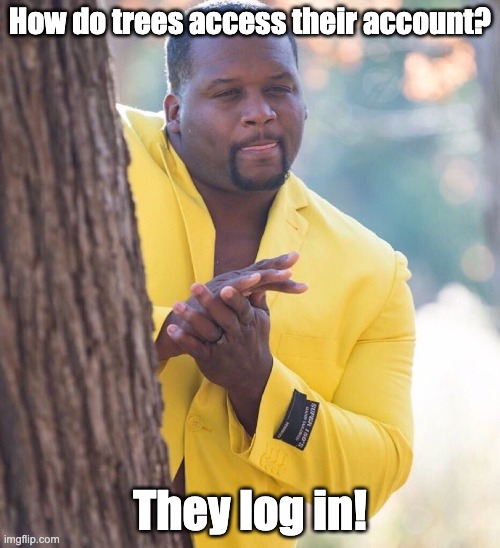 Eyeroll | How do trees access their account? They log in! | image tagged in black guy hiding behind tree | made w/ Imgflip meme maker