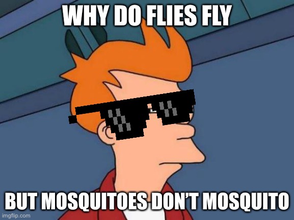 Futurama Fry | WHY DO FLIES FLY; BUT MOSQUITOES DON’T MOSQUITO | image tagged in memes,futurama fry | made w/ Imgflip meme maker