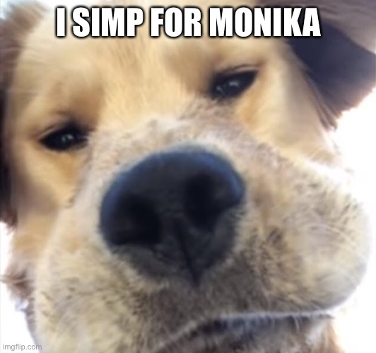 Doggo bruh | I SIMP FOR MONIKA | image tagged in doggo bruh | made w/ Imgflip meme maker