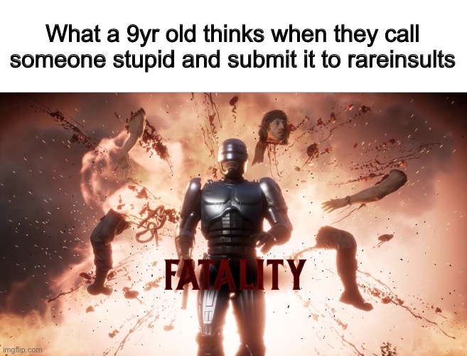 Totally a good insult | What a 9yr old thinks when they call someone stupid and submit it to rareinsults | image tagged in memes,funny,fatality mortal kombat,rare insult | made w/ Imgflip meme maker