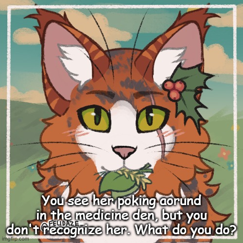 You see her poking aorund in the medicine den, but you don't recognize her. What do you do? | made w/ Imgflip meme maker