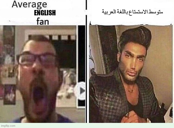 Fan vs Enjoyer | متوسط الاستمتاع باللغة العربية; ENGLISH | image tagged in arab,english | made w/ Imgflip meme maker