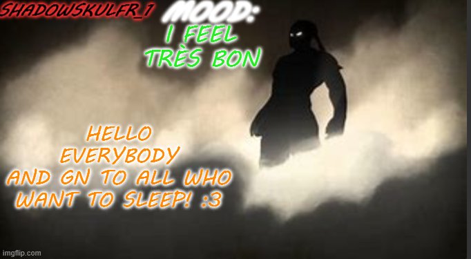 ShadowSkulFR_1 template | I FEEL TRÈS BON; HELLO EVERYBODY
AND GN TO ALL WHO WANT TO SLEEP! :3 | image tagged in shadowskulfr_1 template | made w/ Imgflip meme maker