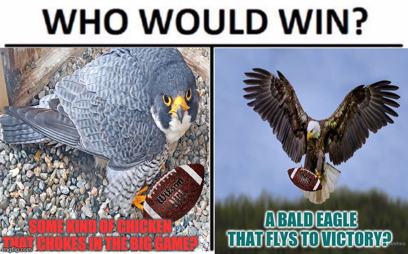 Eagles @ Falcons. Let's go! | A BALD EAGLE THAT FLYS TO VICTORY? SOME KIND OF CHICKEN THAT CHOKES IN THE BIG GAME? | image tagged in philadelphia eagles,atlanta falcons,nfl football,sports,who would win | made w/ Imgflip meme maker