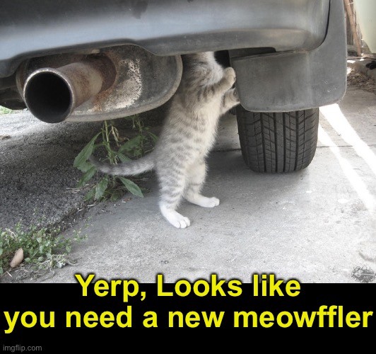 Muffler | Yerp, Looks like you need a new meowffler | image tagged in funny memes,funny cat memes | made w/ Imgflip meme maker