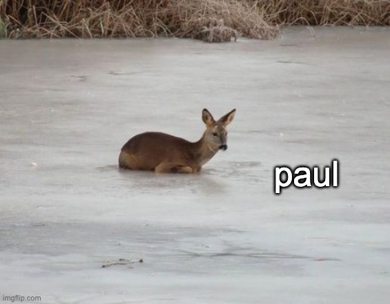 paul | image tagged in paul | made w/ Imgflip meme maker