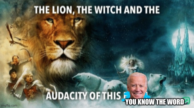 LOL | YOU KNOW THE WORD | image tagged in the lion the witch and the audacity of this bitch,joe biden | made w/ Imgflip meme maker