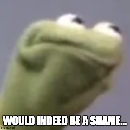 Hmmm kermit | WOULD INDEED BE A SHAME... | image tagged in hmmm kermit | made w/ Imgflip meme maker