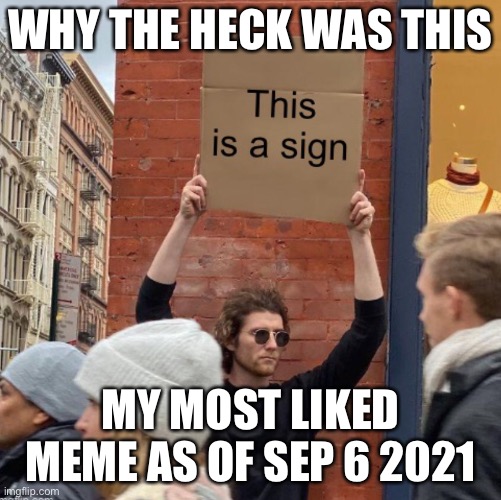 Idek guys | WHY THE HECK WAS THIS; MY MOST LIKED MEME AS OF SEP 6 2021 | image tagged in sign | made w/ Imgflip meme maker