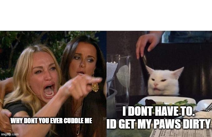 Woman Yelling At Cat Meme | I DONT HAVE TO. ID GET MY PAWS DIRTY; WHY DONT YOU EVER CUDDLE ME | image tagged in memes,woman yelling at cat | made w/ Imgflip meme maker