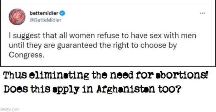 Bette Midler | image tagged in afghanistan,abortion rights | made w/ Imgflip meme maker