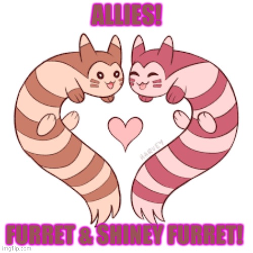 Furret love! | ALLIES! FURRET & SHINEY FURRET! | image tagged in furret,pokemon,cute animals,shiny | made w/ Imgflip meme maker