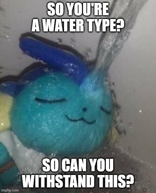 vaporeon | SO YOU'RE A WATER TYPE? SO CAN YOU WITHSTAND THIS? | image tagged in vaporeon | made w/ Imgflip meme maker