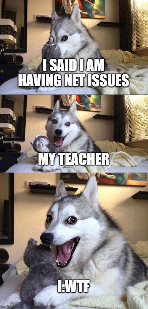Bad Pun Dog | I SAID I AM HAVING NET ISSUES; MY TEACHER; I:WTF | image tagged in memes,bad pun dog | made w/ Imgflip meme maker