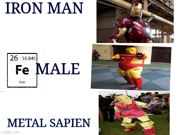 I believe this is one of the best memes yet | IRON MAN; MALE; METAL SAPIEN | image tagged in memes,iron man,fun,funny,popular | made w/ Imgflip meme maker