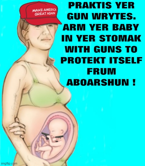 image tagged in gun rights,trump supporters,abortion,clown car republicans,guns,babies | made w/ Imgflip meme maker