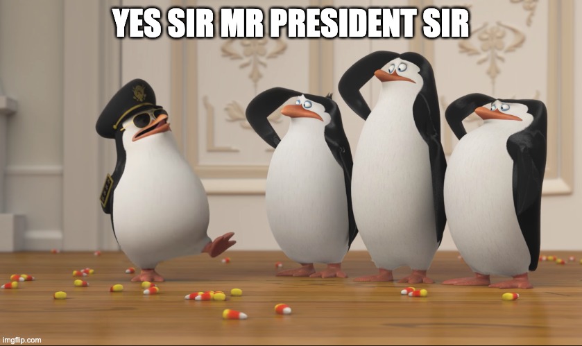 Saluting skipper | YES SIR MR PRESIDENT SIR | image tagged in saluting skipper | made w/ Imgflip meme maker