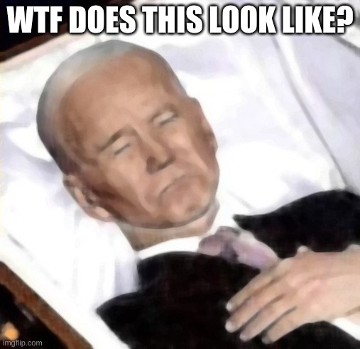 WTF DOES THIS LOOK LIKE? | image tagged in biden coffin | made w/ Imgflip meme maker