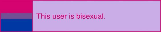 This user is bisexual Blank Meme Template