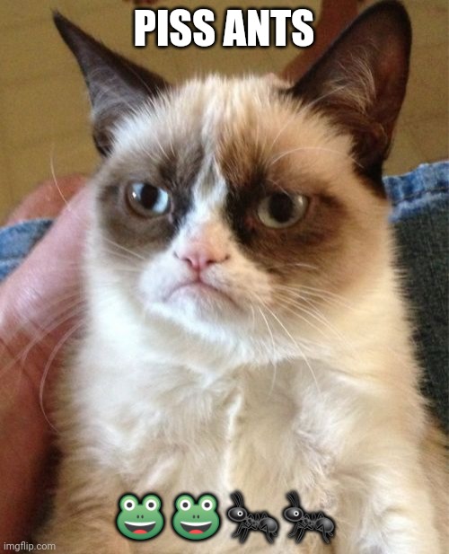 Grumpy Cat | PISS ANTS; 🐸🐸🐜🐜 | image tagged in memes,grumpy cat | made w/ Imgflip meme maker
