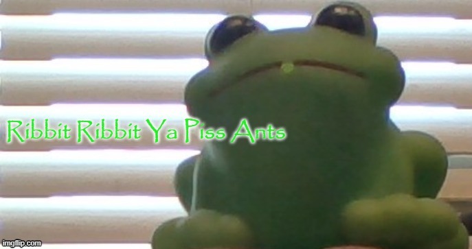 Ribbit Ribbit Ya Piss Ants (Picture Ver) | image tagged in ribbit ribbit ya piss ants picture ver | made w/ Imgflip meme maker