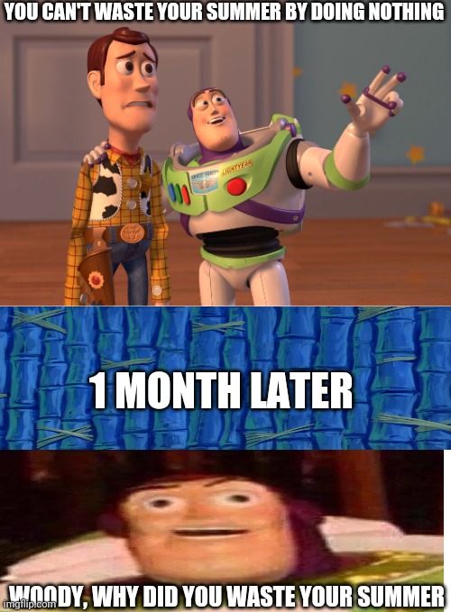 Dang it woody | YOU CAN'T WASTE YOUR SUMMER BY DOING NOTHING; 1 MONTH LATER; WOODY, WHY DID YOU WASTE YOUR SUMMER | image tagged in memes,x x everywhere | made w/ Imgflip meme maker