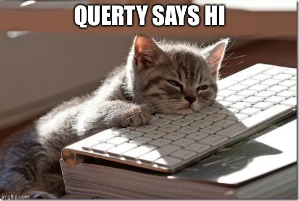 Bored Keyboard Cat | QUERTY SAYS HI | image tagged in bored keyboard cat | made w/ Imgflip meme maker
