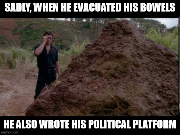 That's a huge pile of shit | SADLY, WHEN HE EVACUATED HIS BOWELS HE ALSO WROTE HIS POLITICAL PLATFORM | image tagged in that's a huge pile of shit | made w/ Imgflip meme maker